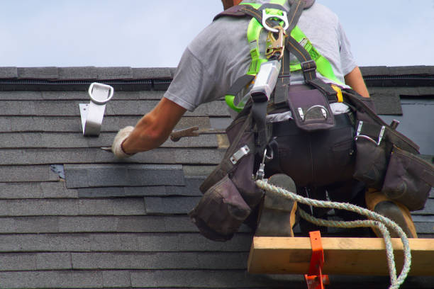Best Roof Ventilation Installation  in Genoa City, WI