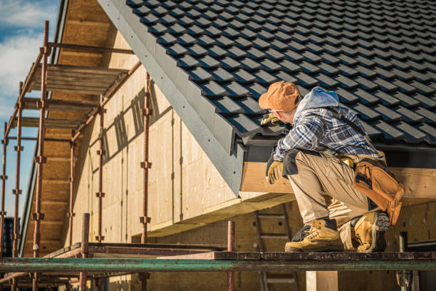 Best Chimney Flashing Repair  in Genoa City, WI
