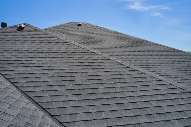 Roof Coating Services in Genoa City, WI