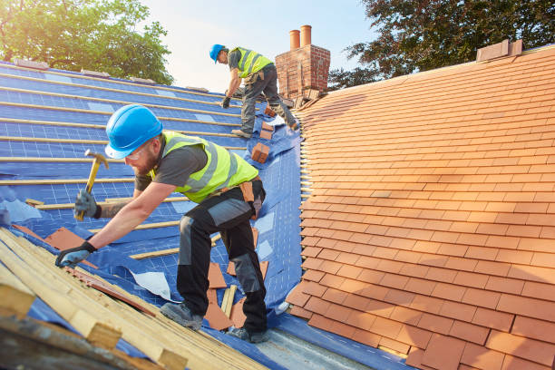 Best Asphalt Shingle Roofing  in Genoa City, WI